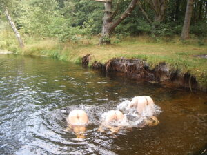 Read more about the article Confessions d’Anonyme : Le Frisson Interdit du Voisin du Palier